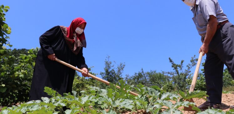 Beykoz Karpuzu Lezzetiyle İstanbul’u Saracak