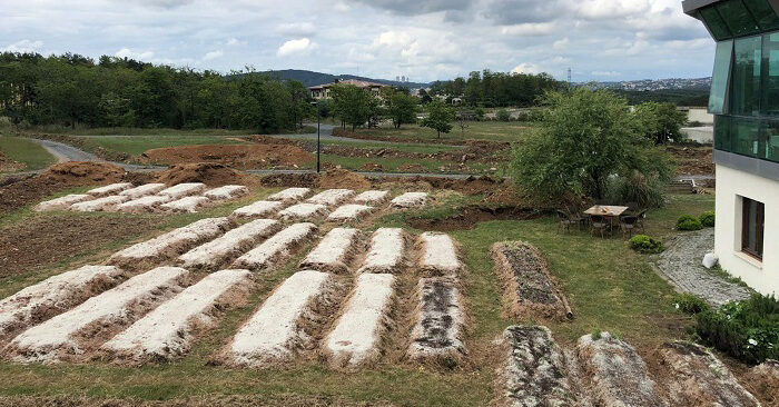 Beykoz’da ilaçsız sağlıklı doğal tarıma adım atıldı