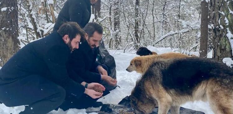 AK Parti doğadaki hayvanların ihtiyaçlarının karşılanması için seferberlik başlattı